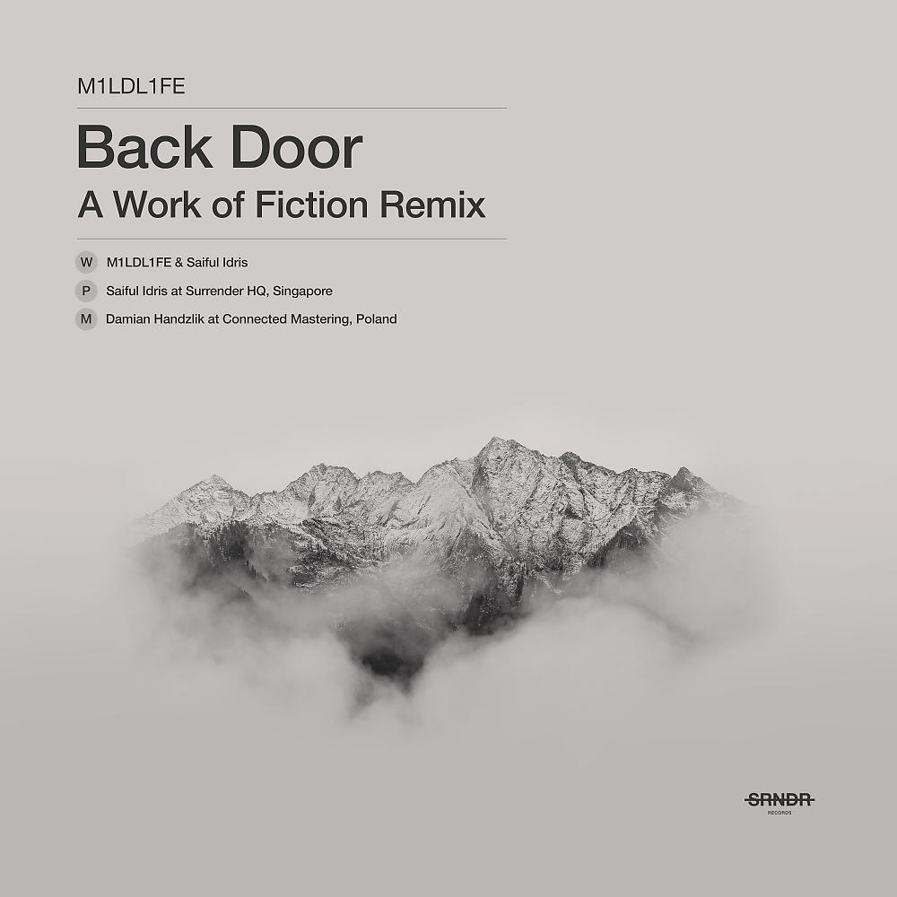 Постер альбома Back Door Remix