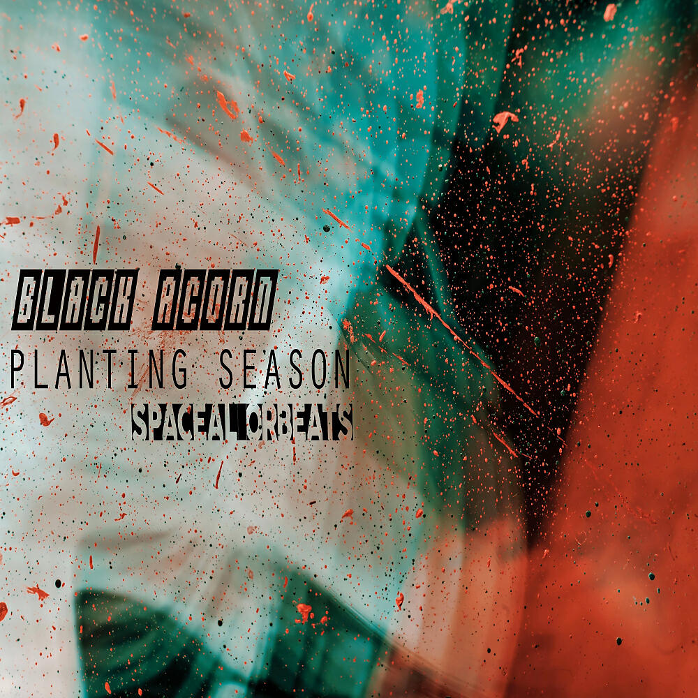 Black Acorn - Watering The Garden (Original Mix)