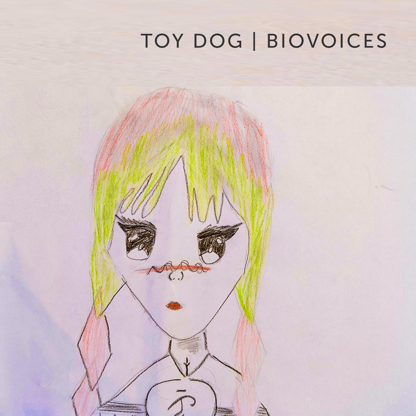 Постер альбома Toy Dog