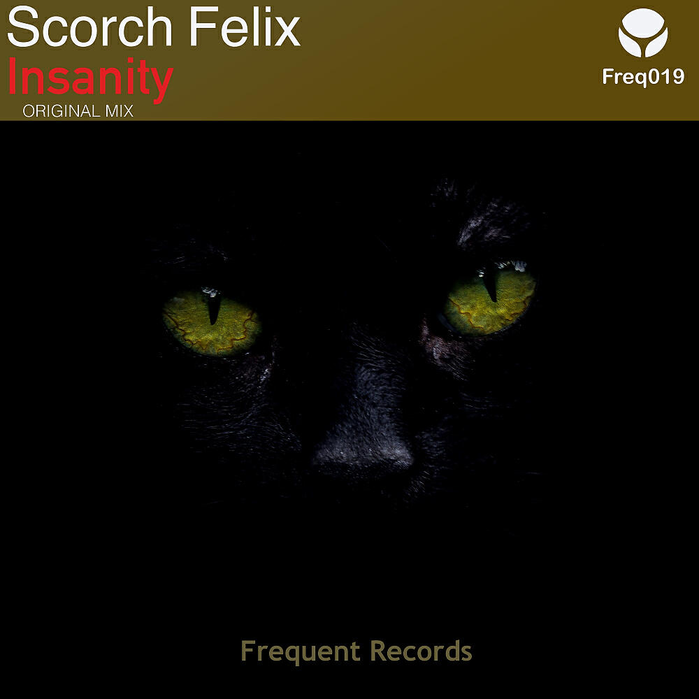 Scorch Felix - Insanity (Original Mix)