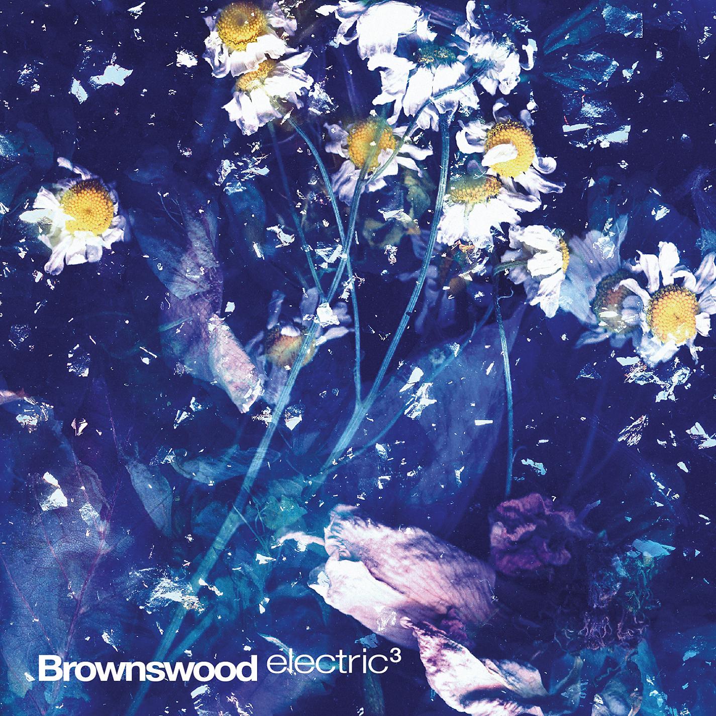 Постер альбома Brownswood Electric 3