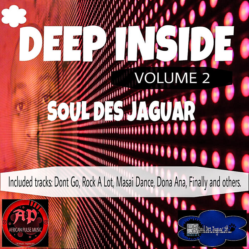 Chaka Khan - Never Miss The Water (Soul Des Jaguar Deep Remix)