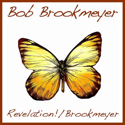 Постер альбома Revelation! / Brookmayer