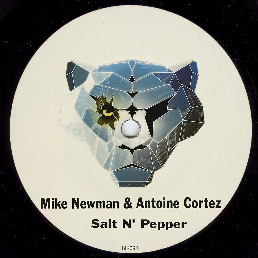 Постер альбома Salt N' Pepper