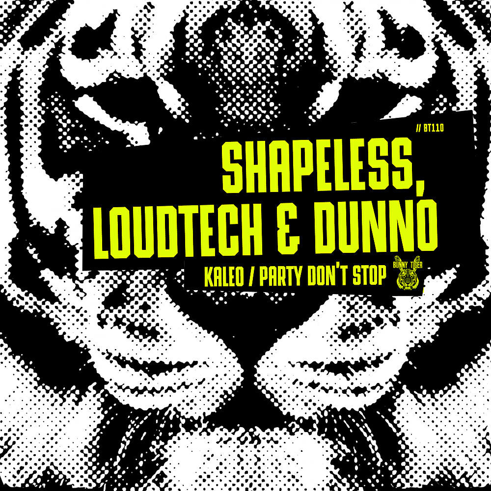 Shapeless - Kaleo (Original Mix)