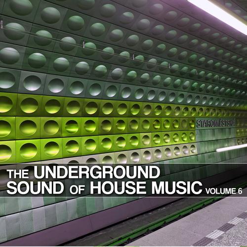 Постер альбома The Underground Sound of House Music, Vol. 6