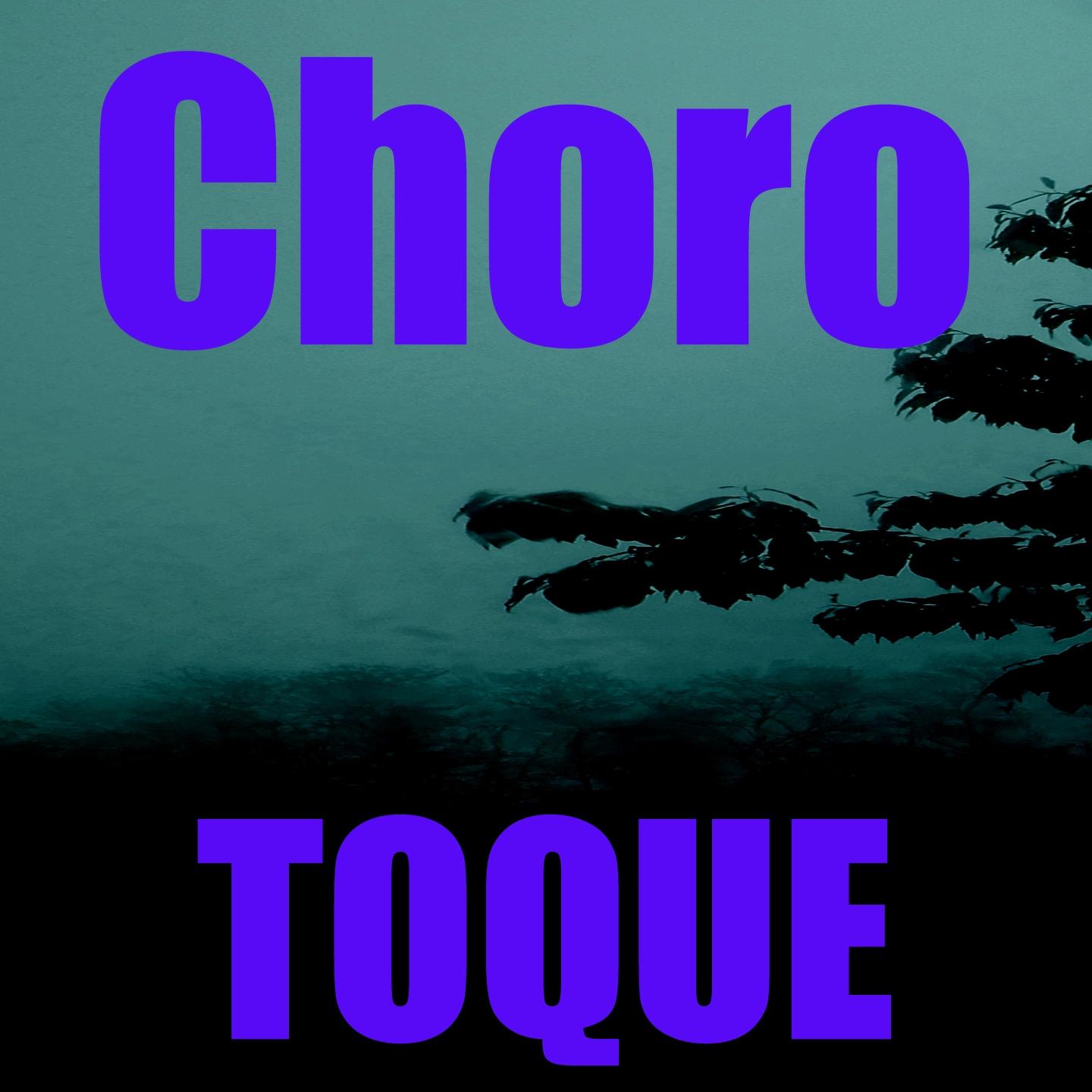 Постер альбома Toque Choro