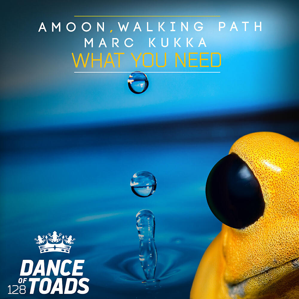 AMOON - What You Need (Club Mix)