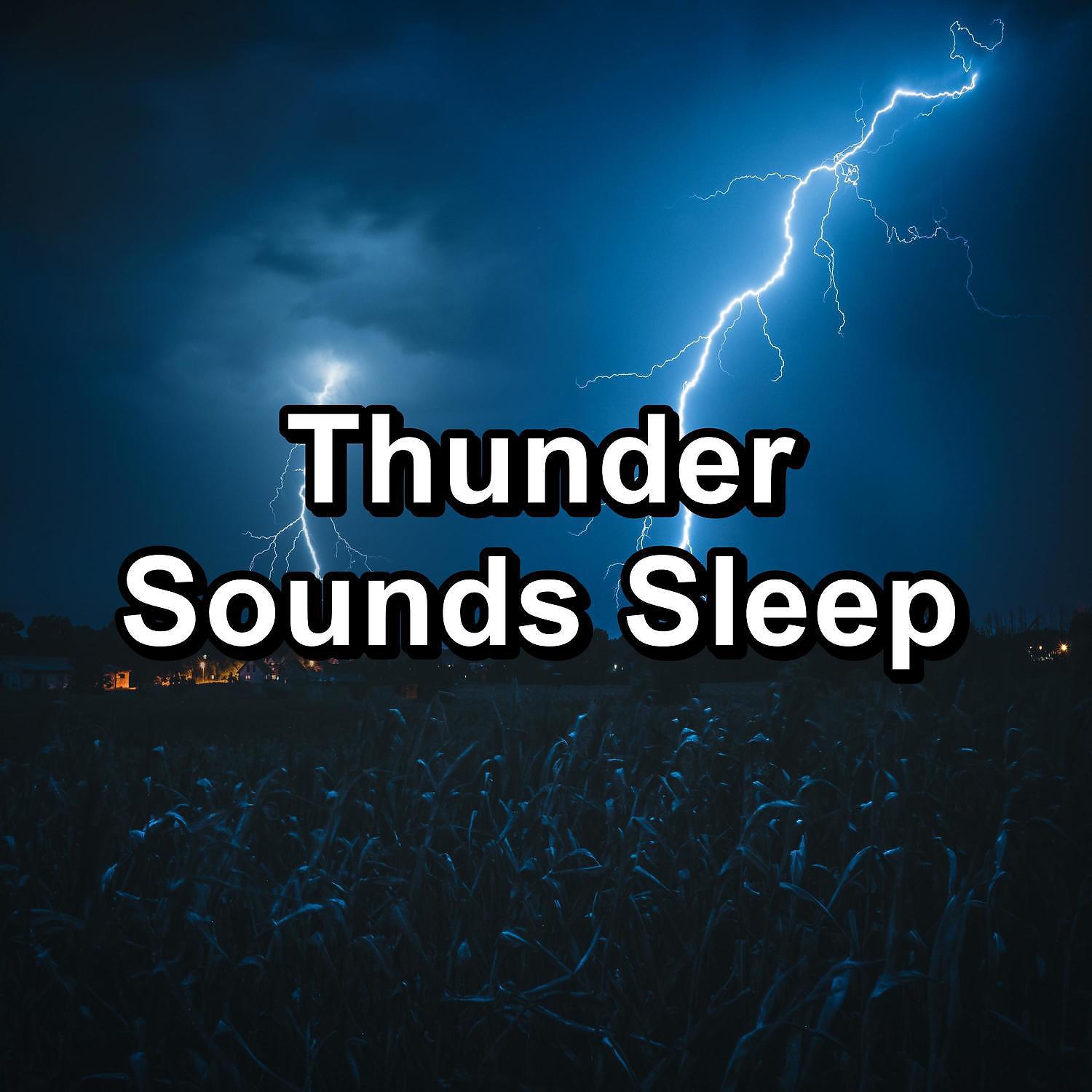 Постер альбома Thunder Sounds Sleep