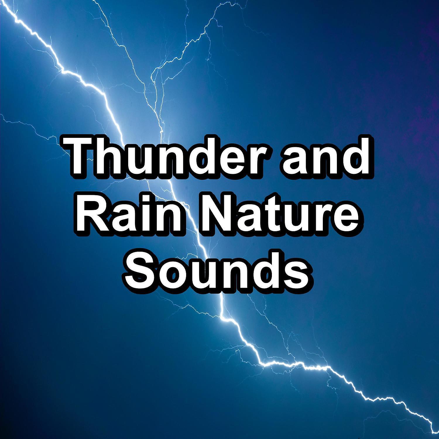 Nature Sounds - Rain Sounds Droplets To Sleep with for 8 Hours