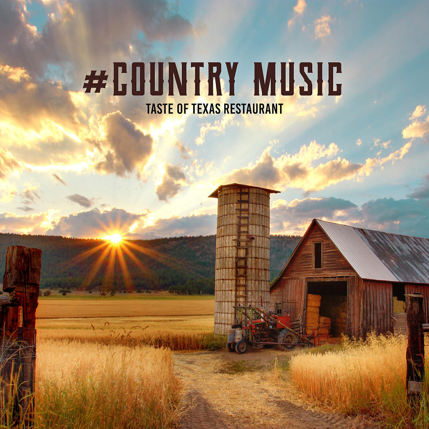 Wild West Music Band - I Love It