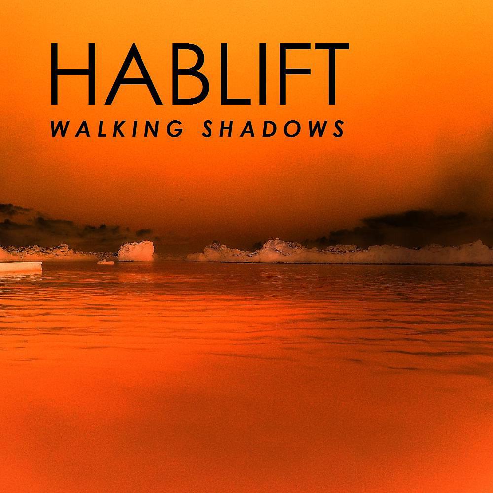 Постер альбома Walking Shadows (Remixes)