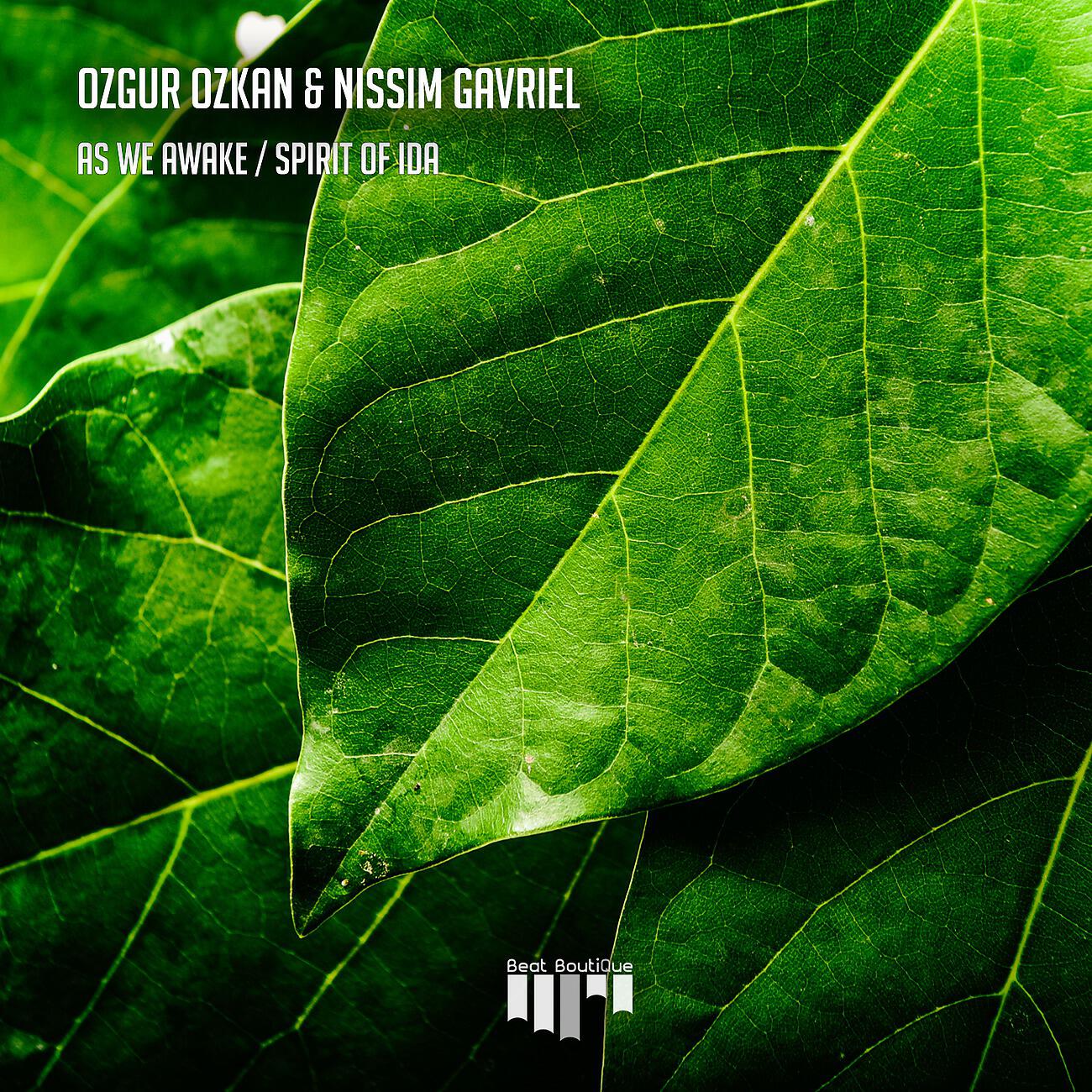 Ozgur Ozkan - Spirit Of Ida