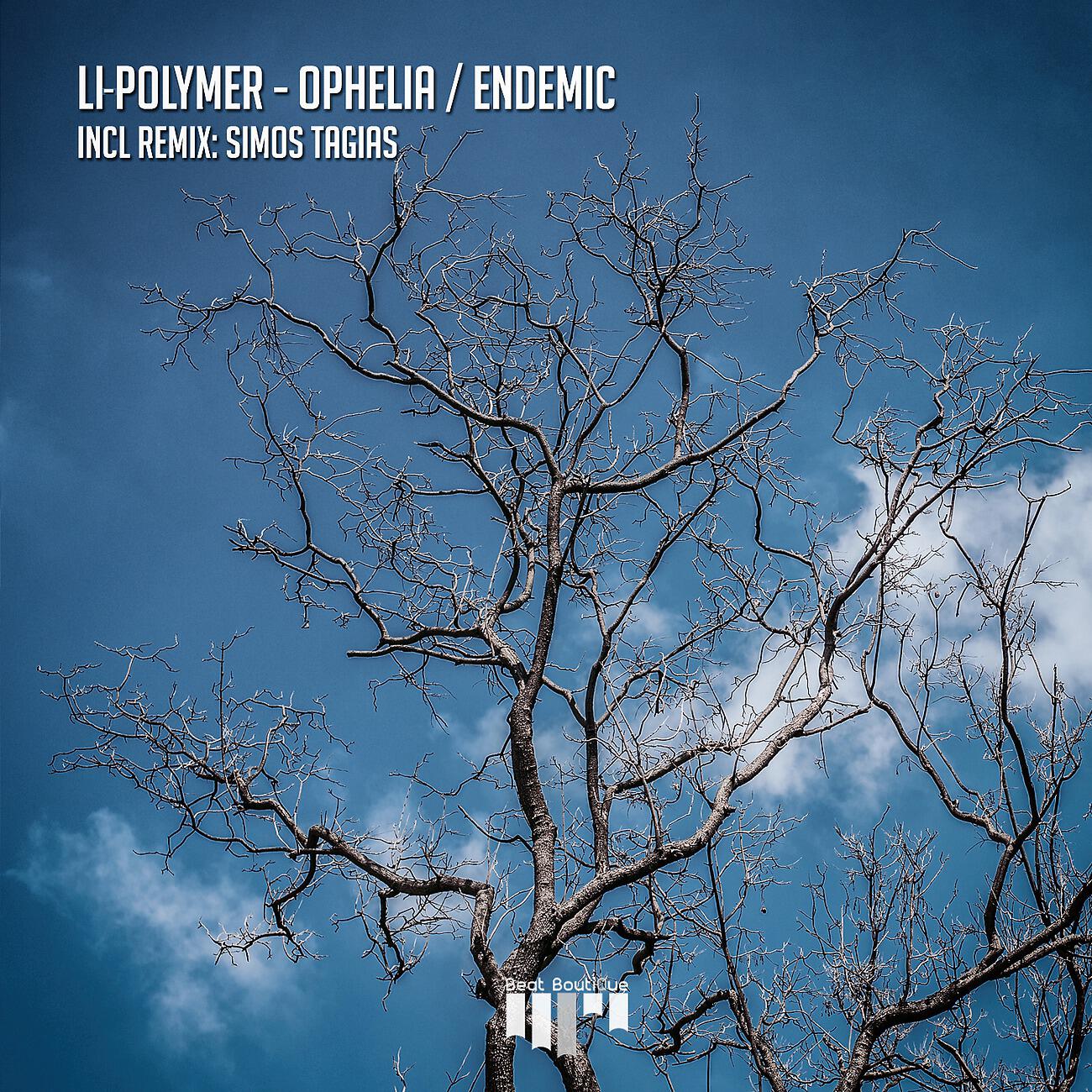 Li-Polymer - Endemic