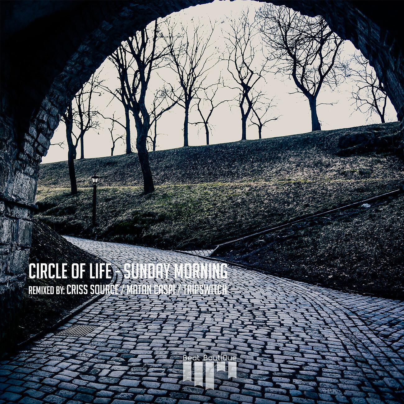 Circle Of Life - Circle of Life (Criss Source Remix)