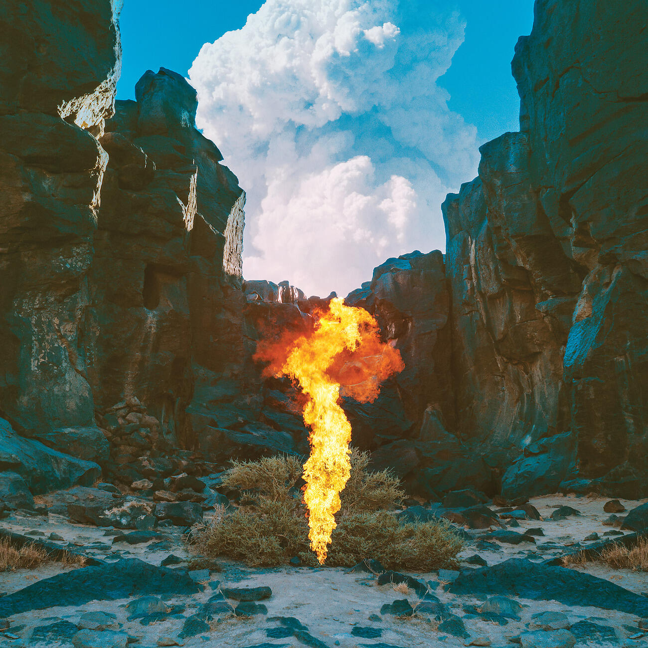 Bonobo - Bambro Koyo Ganda
