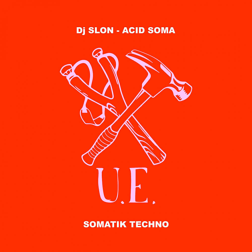 DJ SLON - Acid Soma (Original Mix)