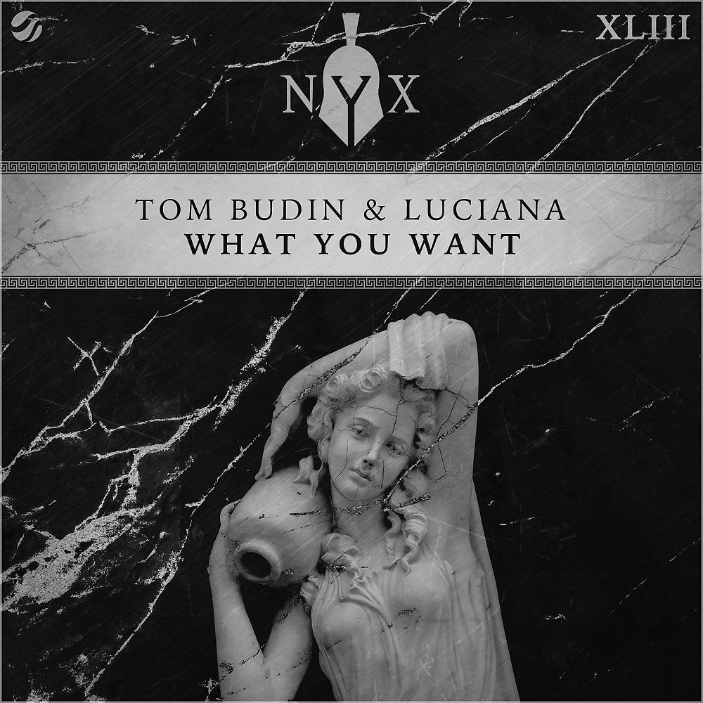 Постер альбома What You Want