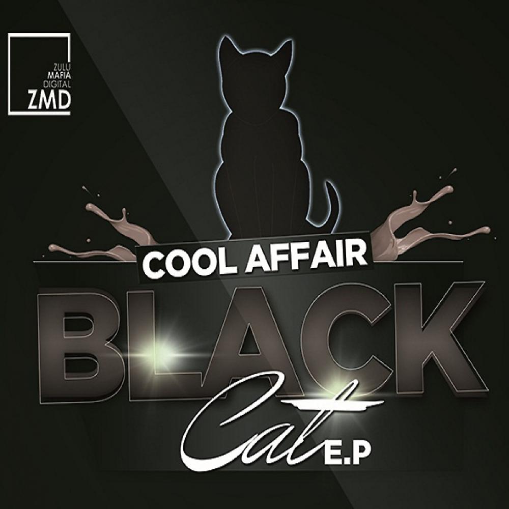 Постер альбома Black Cat