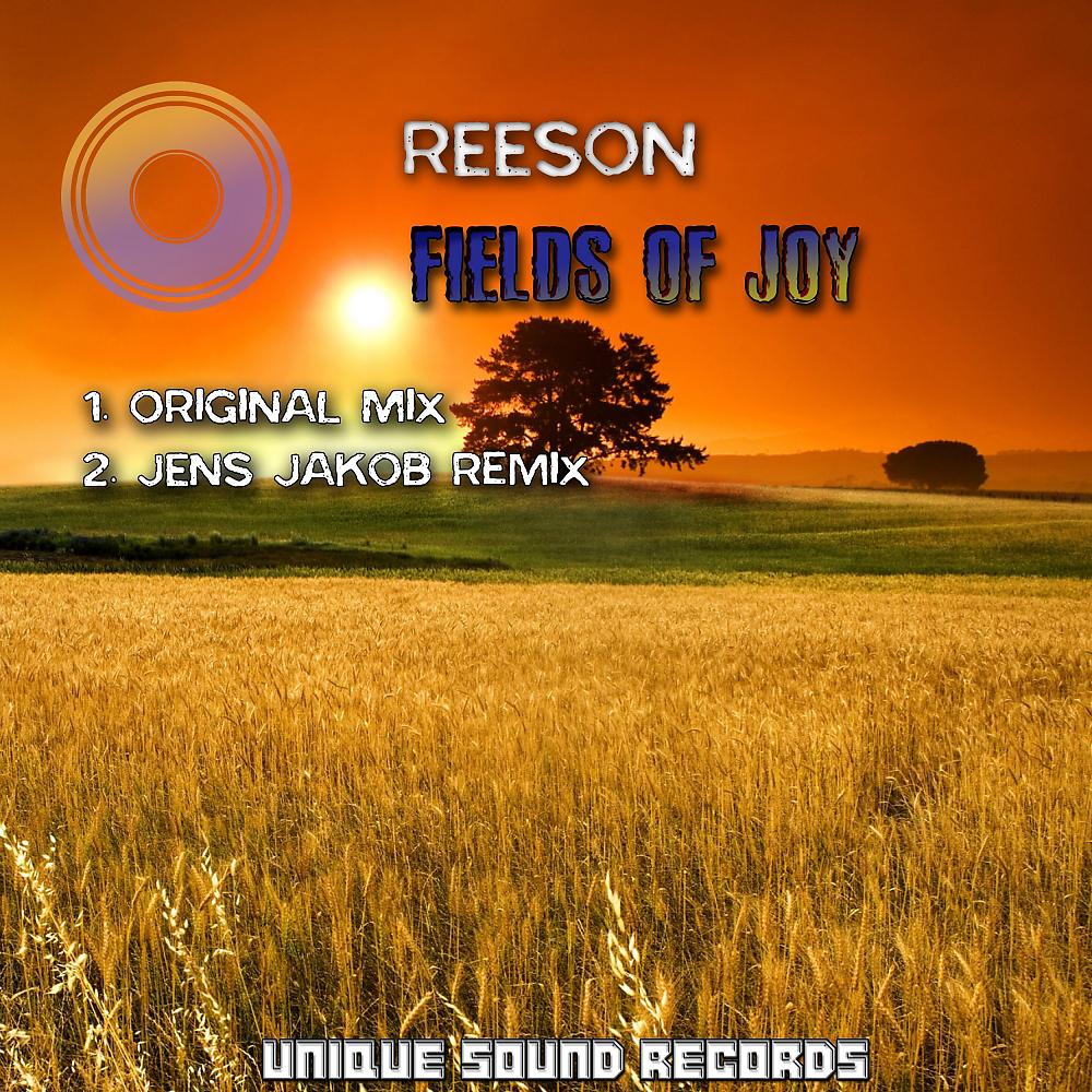 Постер альбома Fields Of Joy