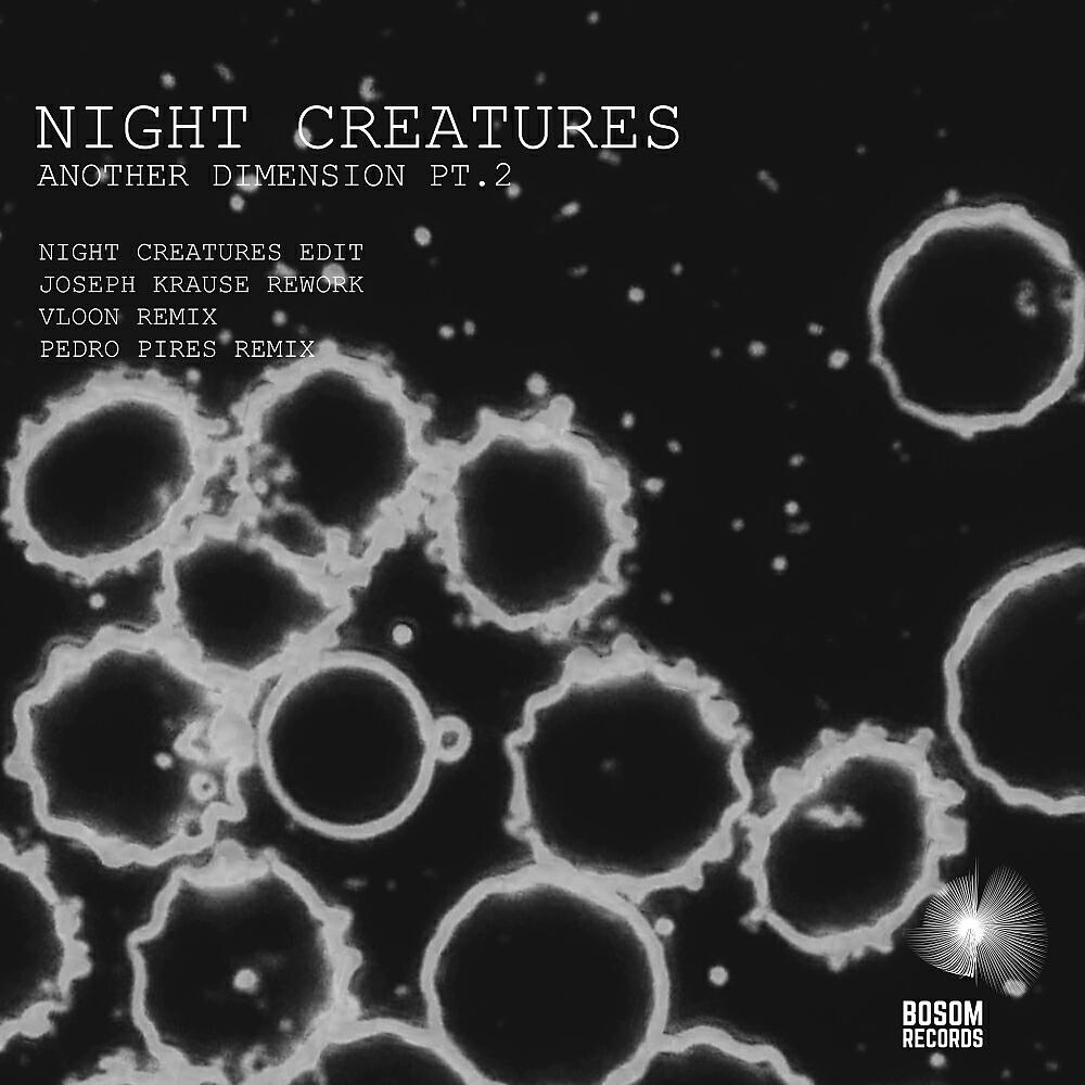 Night Creatures - Another Dimension (Vloon Remix)