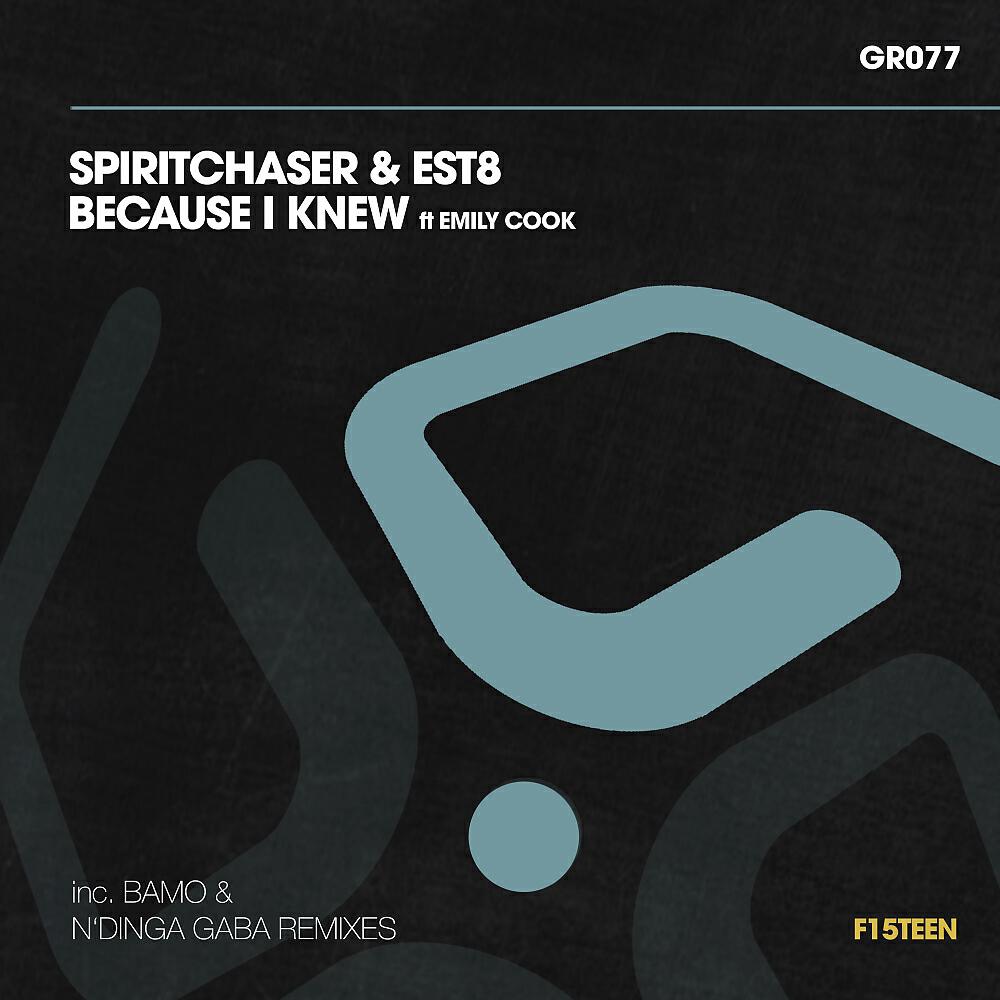 Spiritchaser - Because I Knew (N'Dinga Gaba Remix)