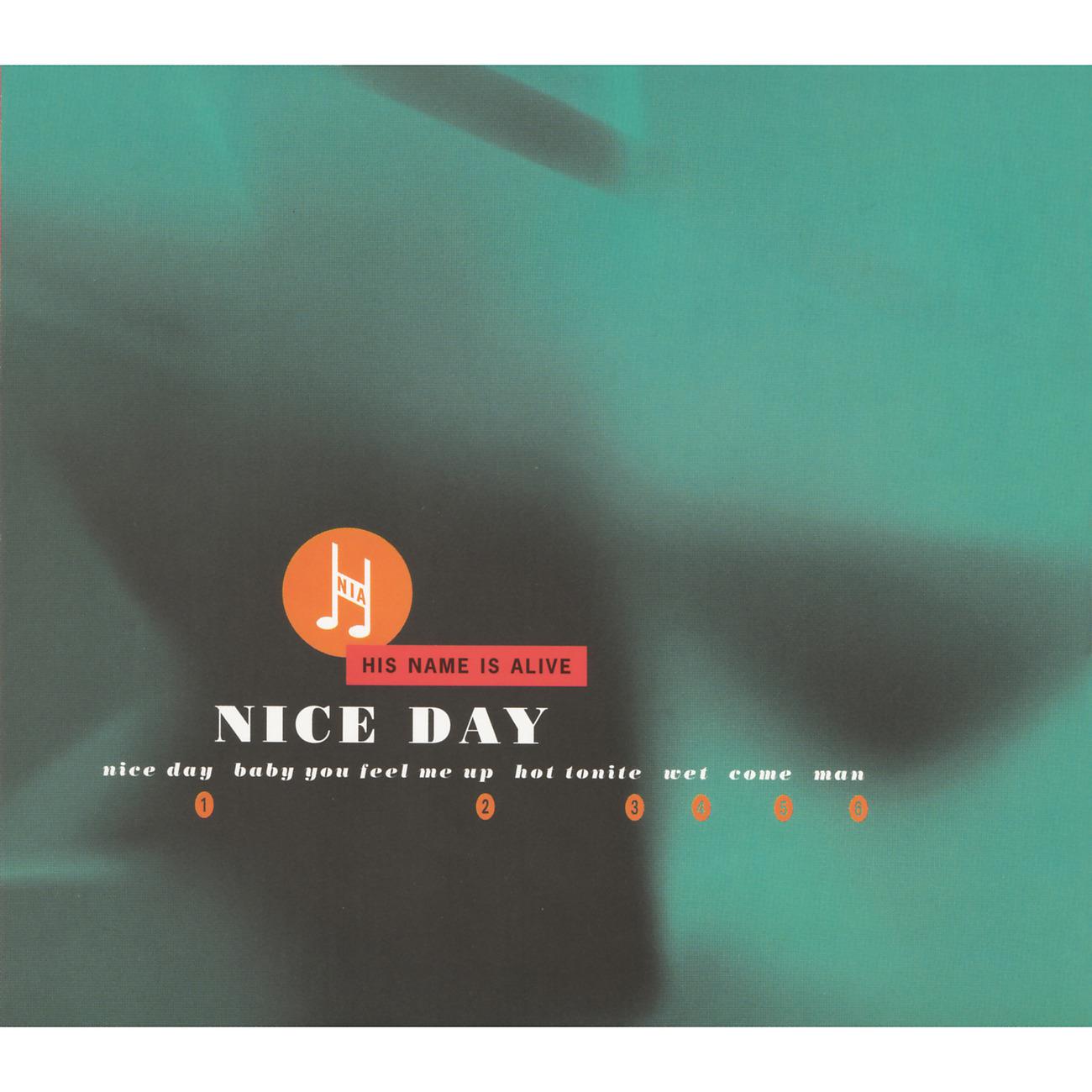 Постер альбома Nice Day