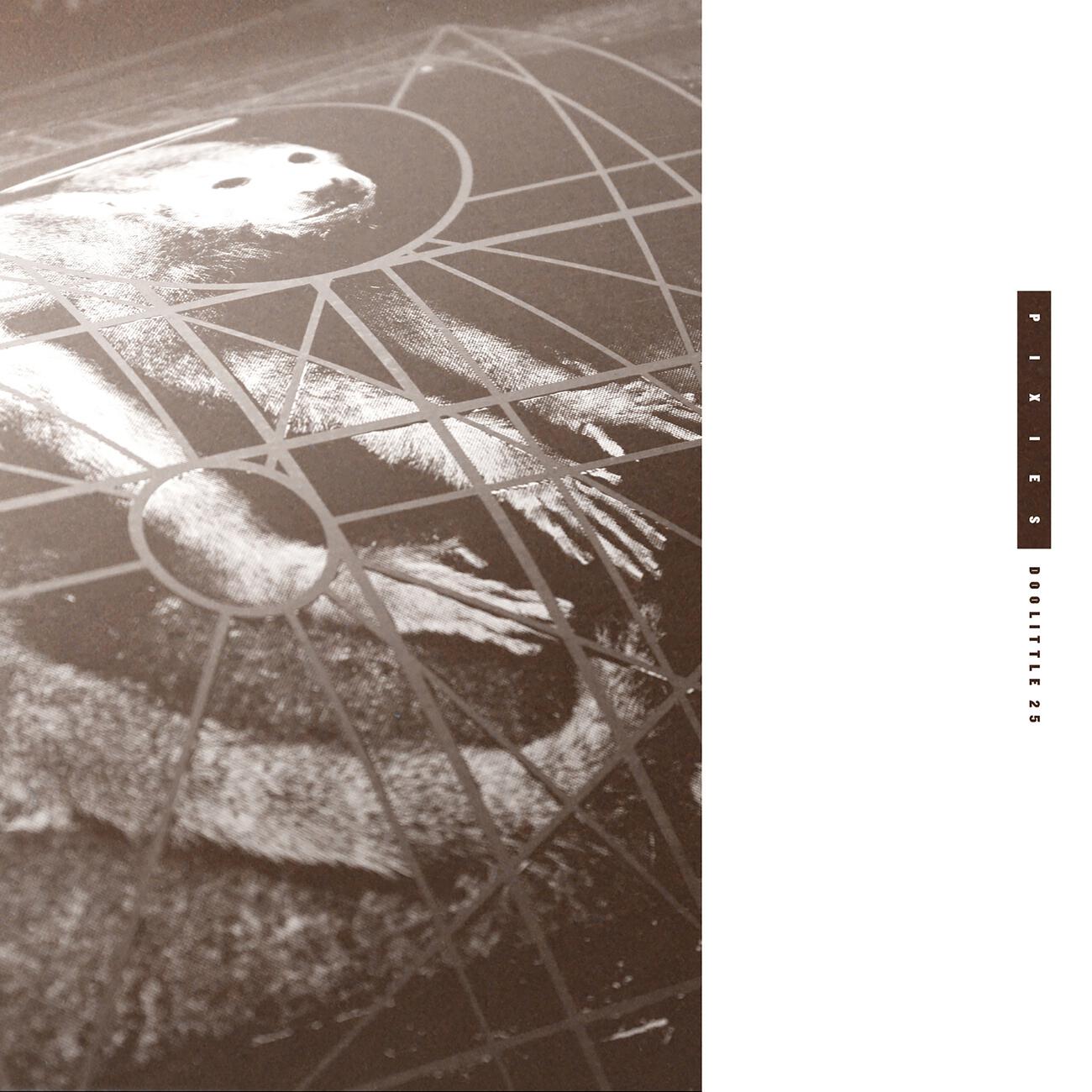 PIXIES - Wave Of Mutilation (Demo 2)