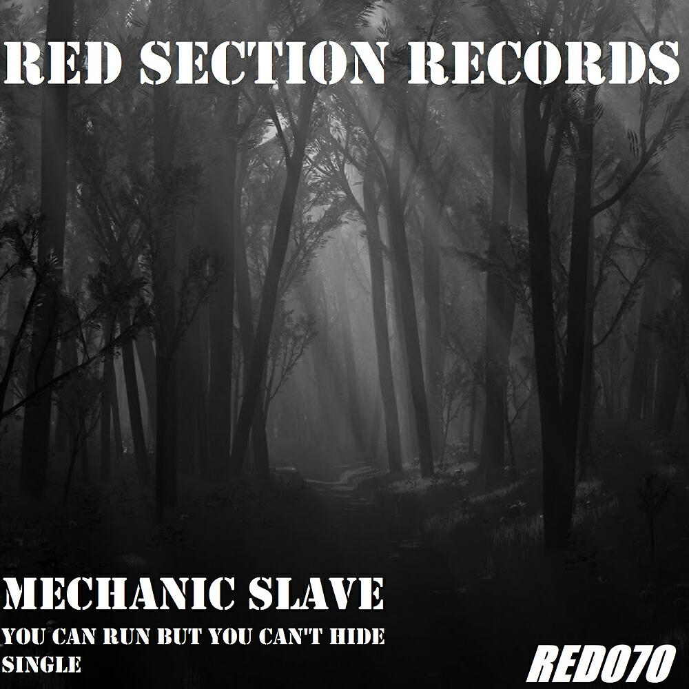 Mechanic Slave - You Can Run But You Can't Hide (Original Mix)