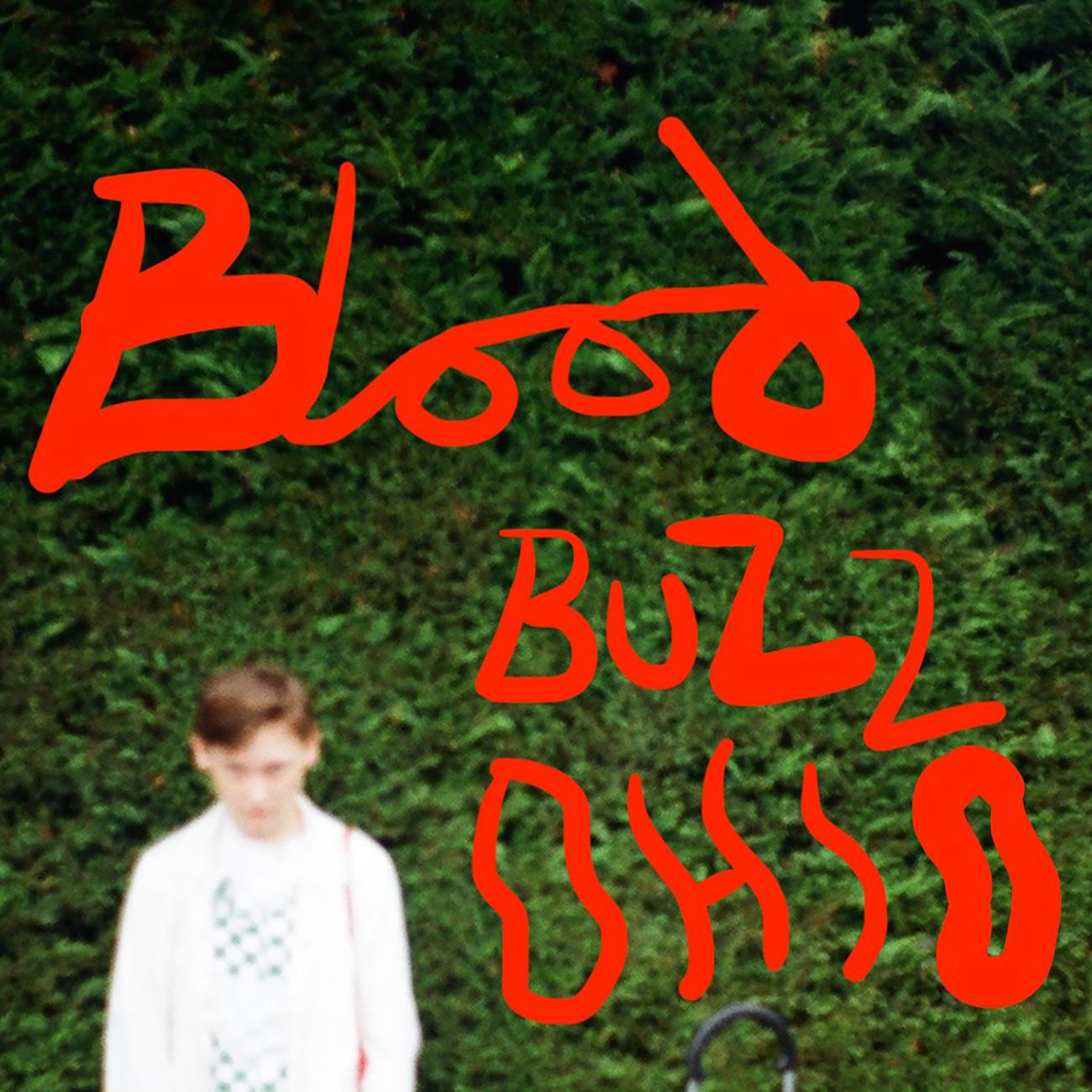 Постер альбома Bloodbuzz Ohio