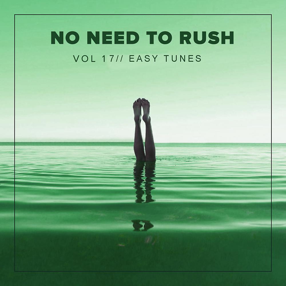 Постер альбома No Need To Rush, Vol. 17: Easy Tunes