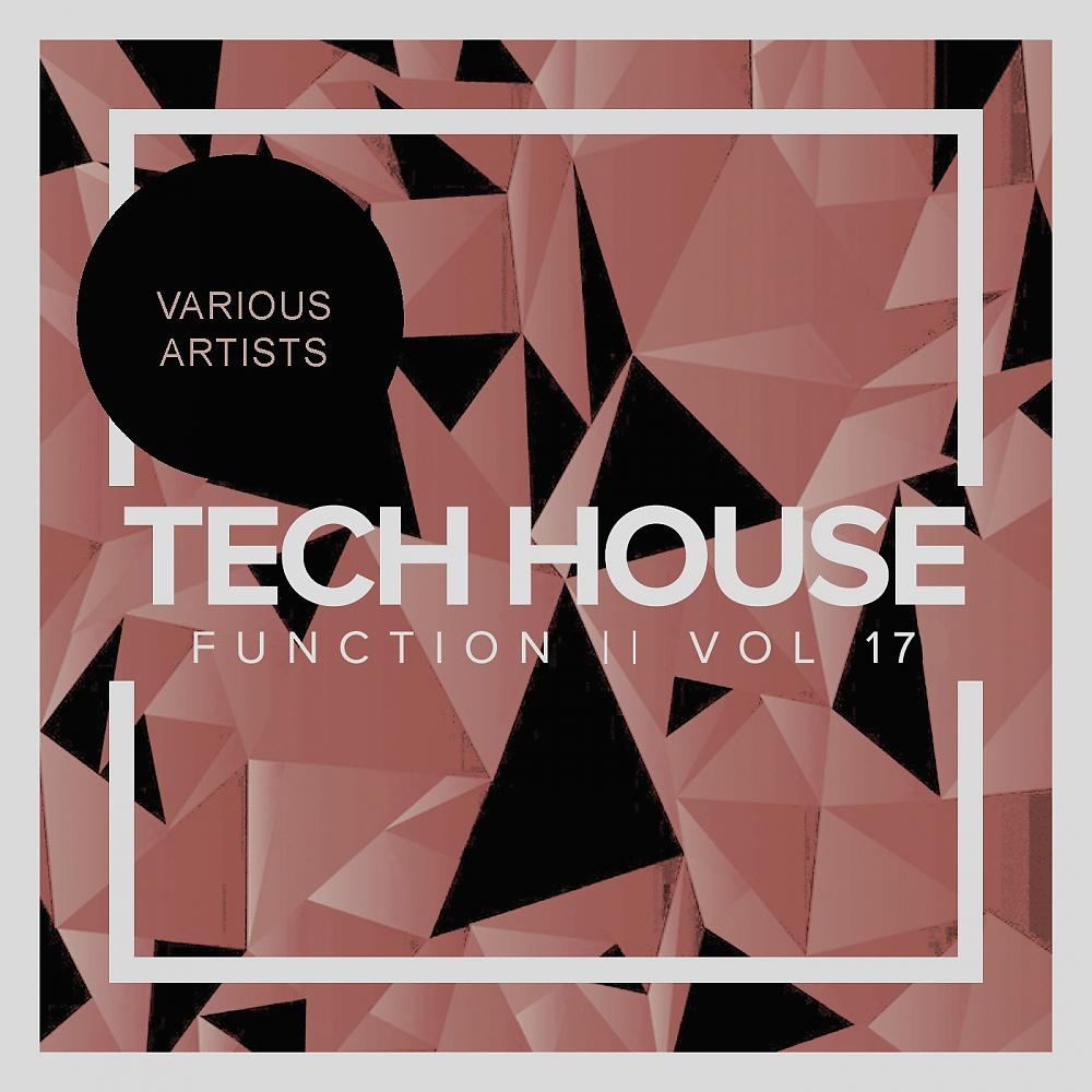 Постер альбома Tech House Function, Vol.17