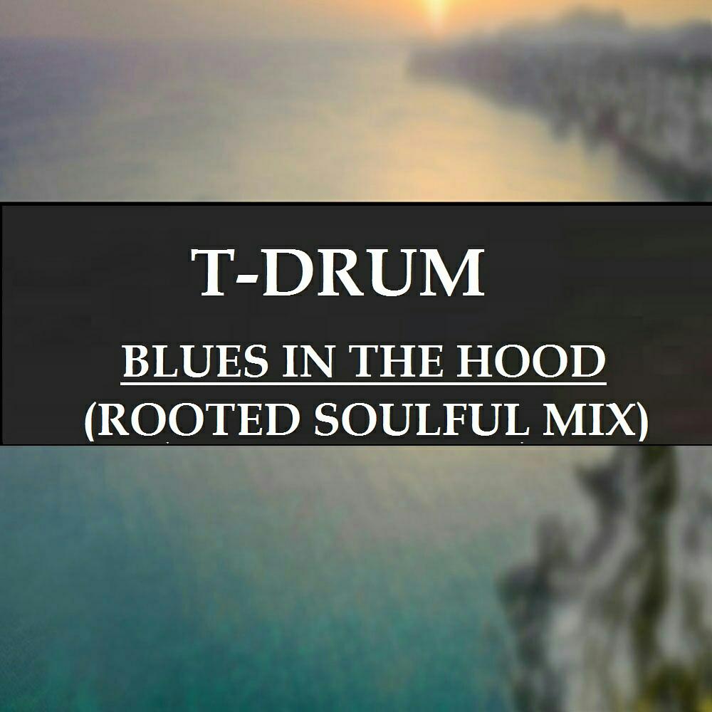 Постер альбома Blues In The Hood (Rooted Soulful Mix)