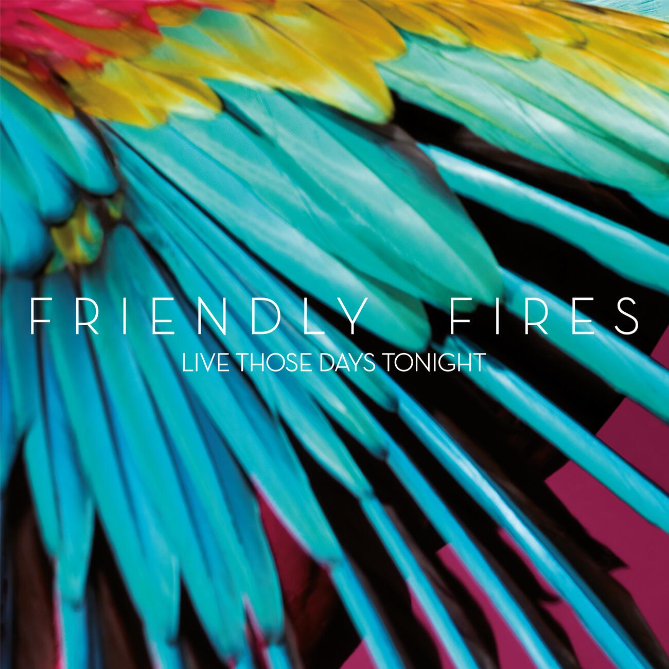 Friendly Fires - Live Those Days Tonight (Catz N Dogz Remix)