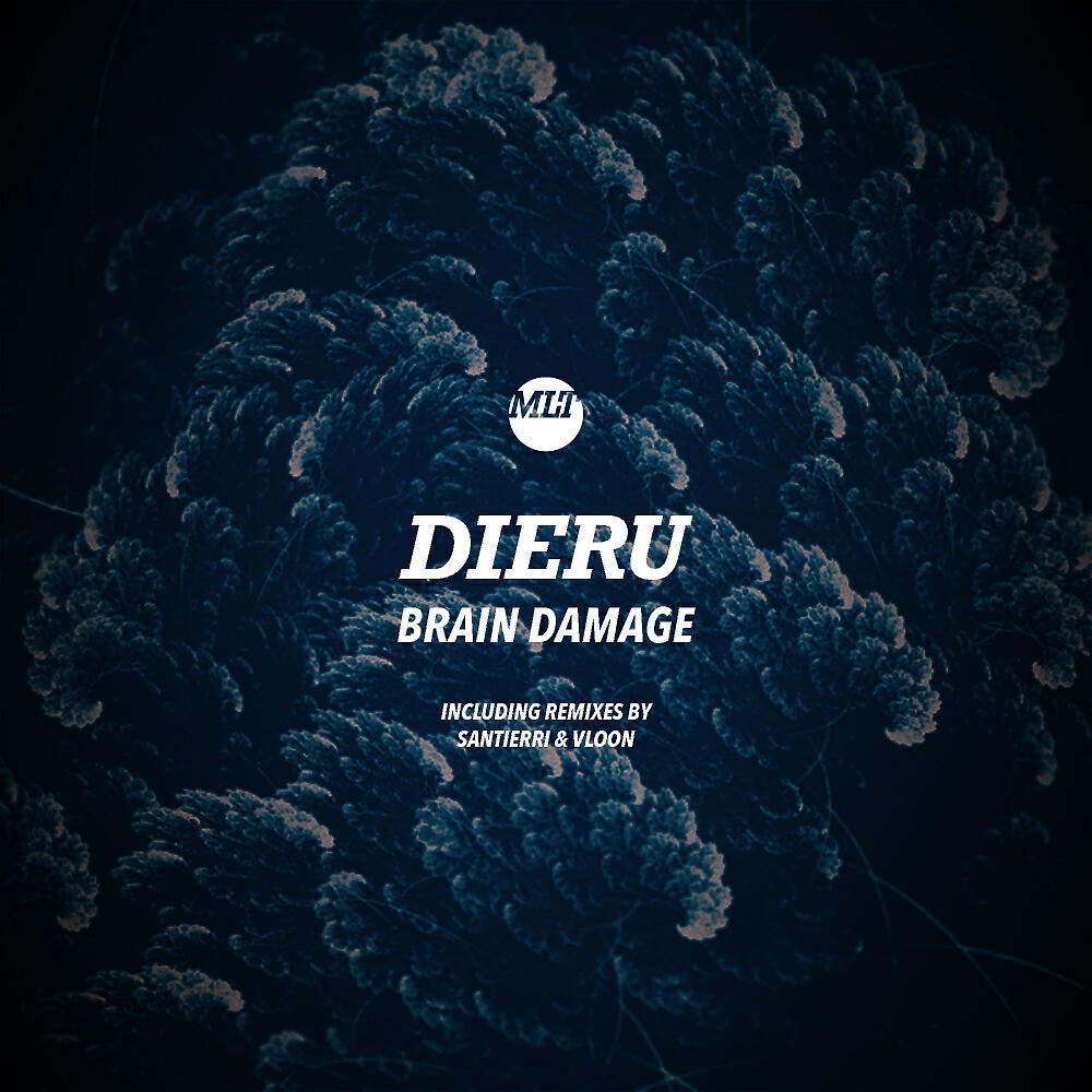 Dieru - Brain Damage (Santierri Reshape)
