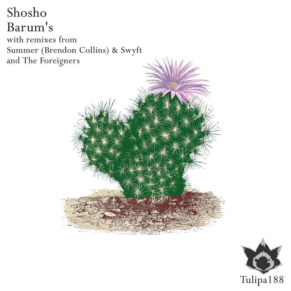 Shosho - Barum's (Summer (Brendon Collins) & Swyft Remix)