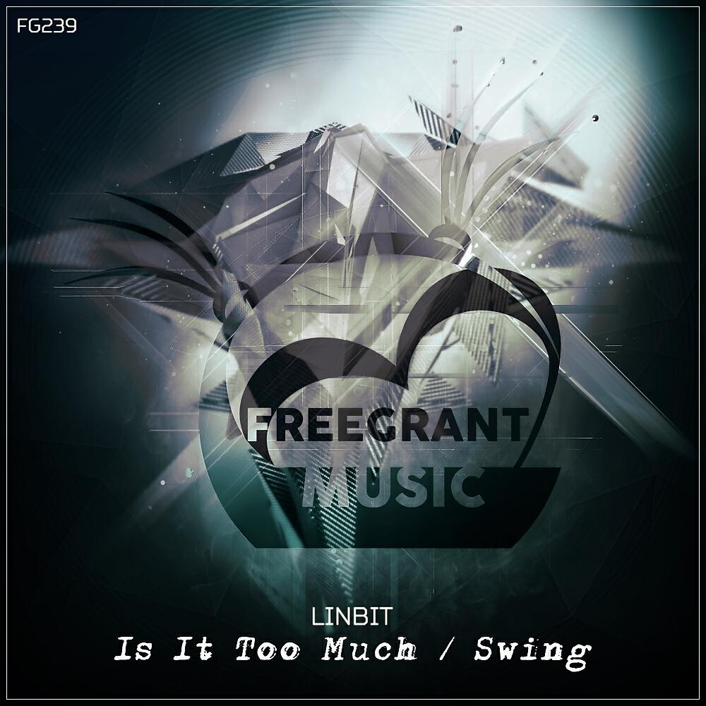 LinBit - Is It Too Much (Original Mix)