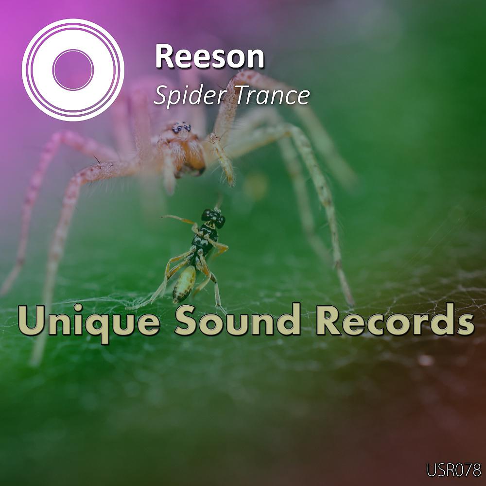 Постер альбома Spider Trance