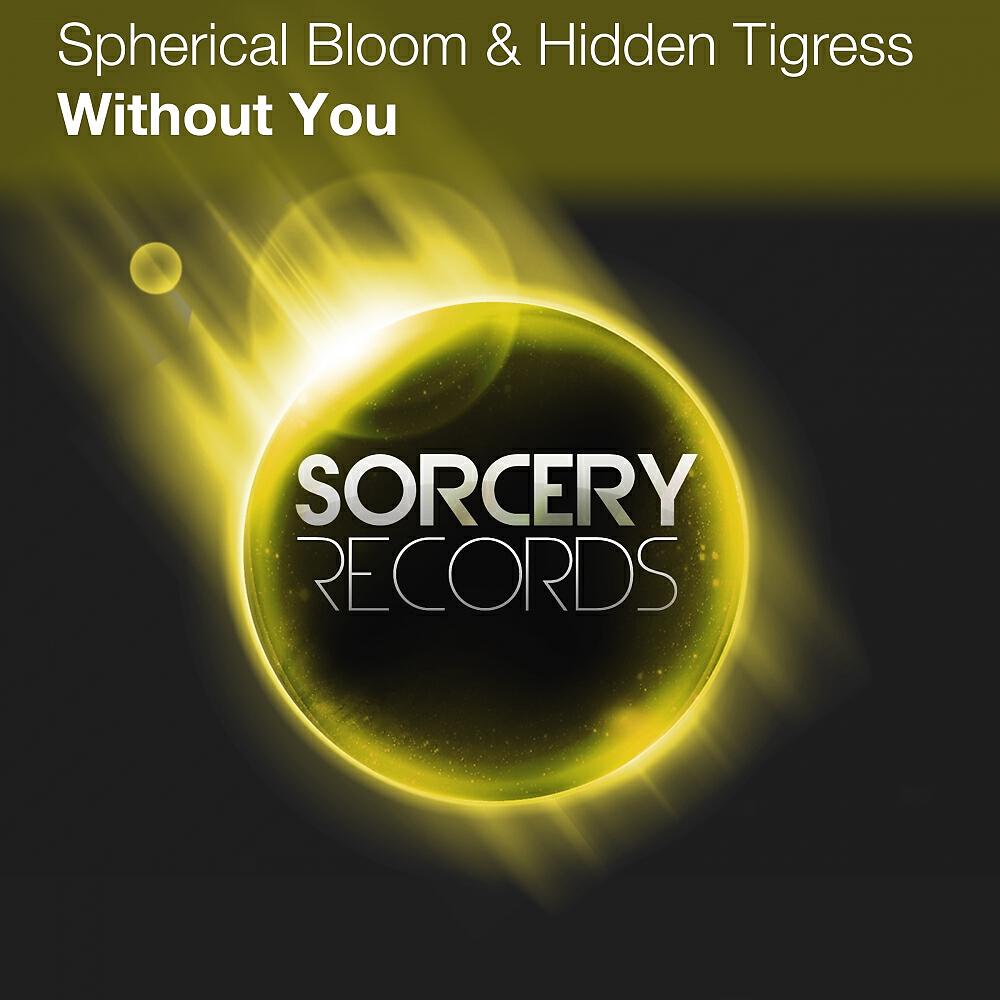 Spherical Bloom - Without You (DJ Abscence Remix)