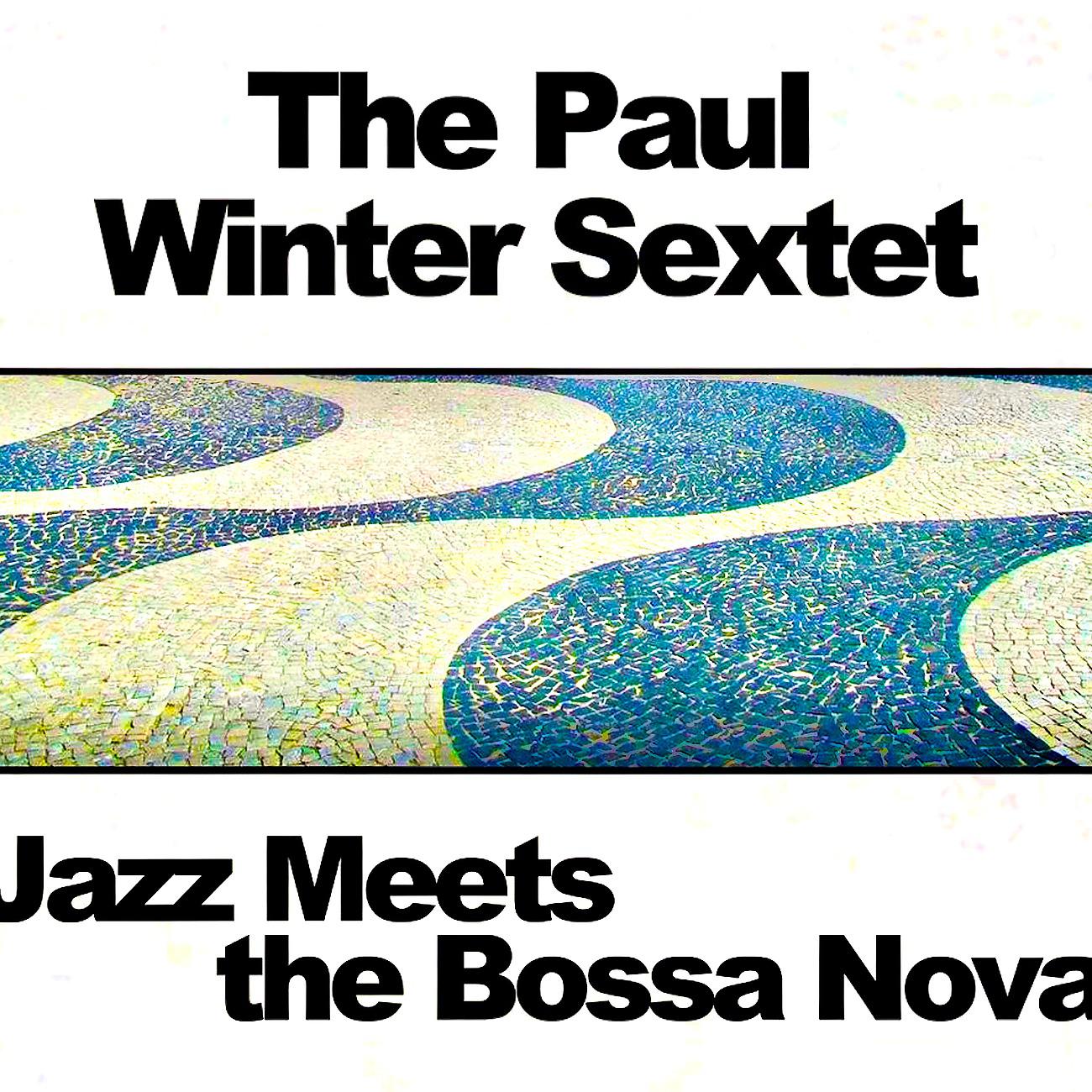 Постер альбома Count Me In! (Jazz Meets The Bossa Nova)