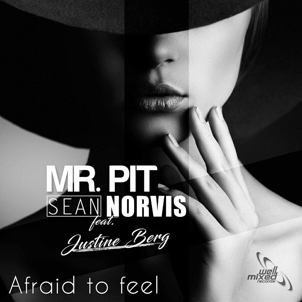 Mr. Pit - Afraid To Feel (Sean Norivs Remix)