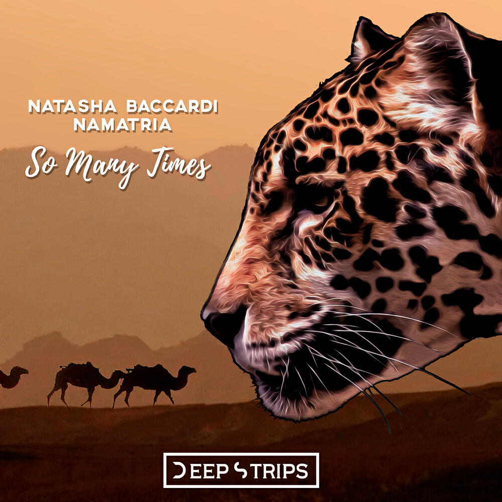 Natasha Baccardi - So Many Times (Lisitsyn Tech Remix)