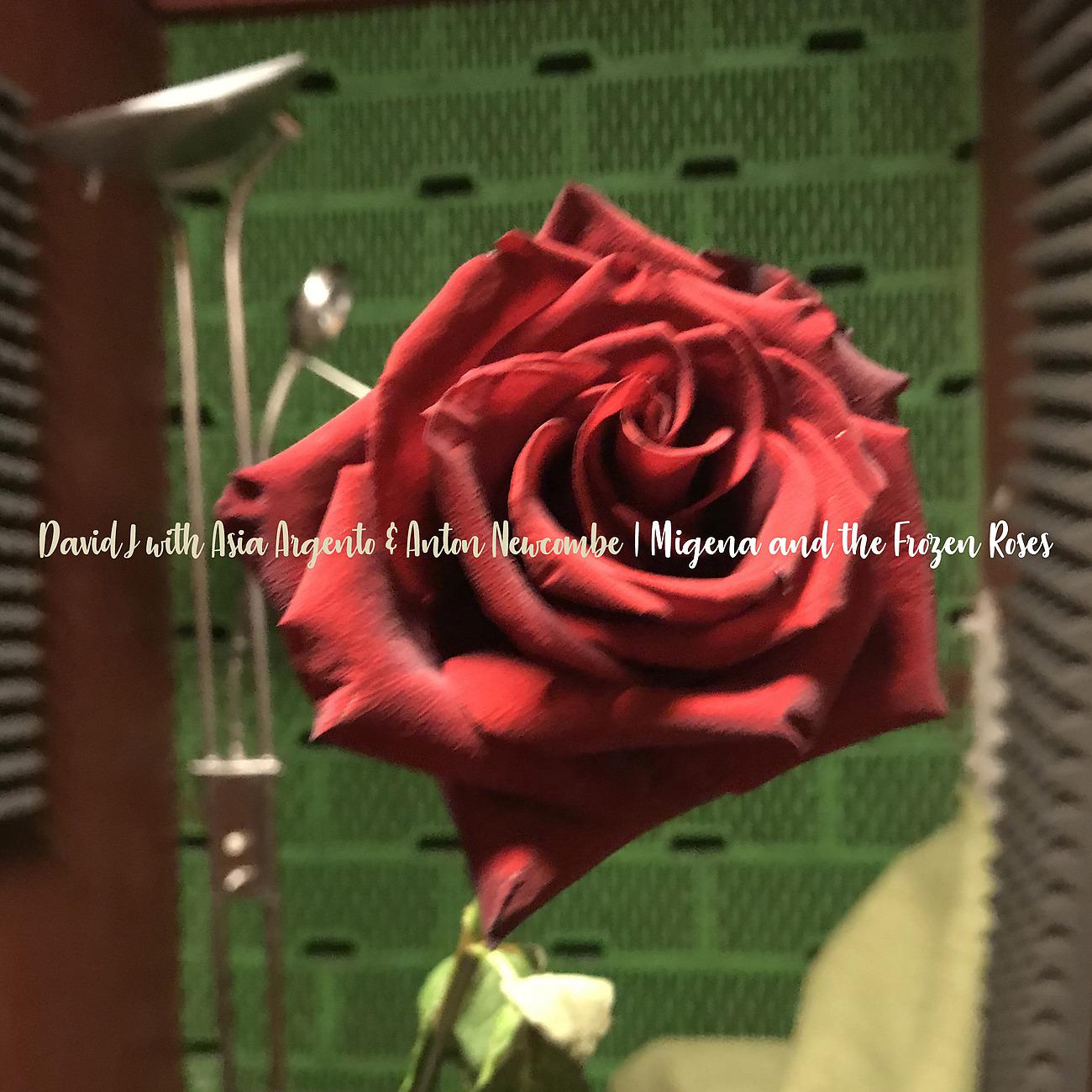 Постер альбома Migena & The Frozen Roses