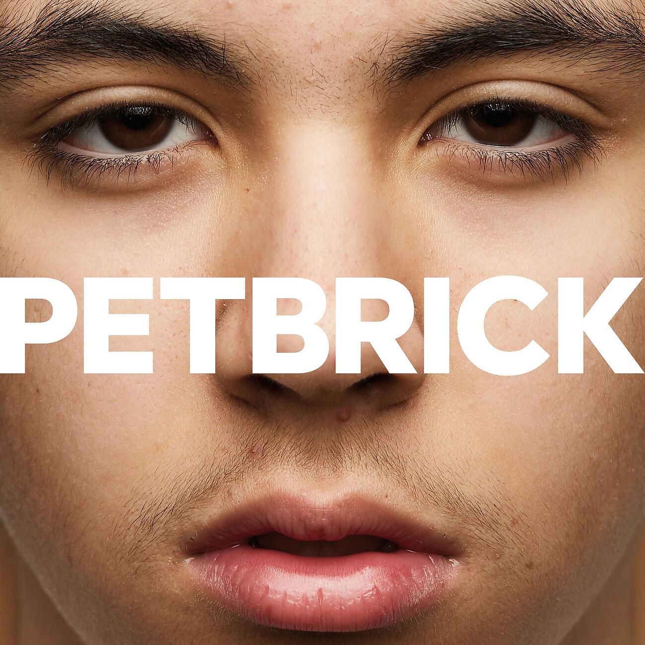Petbrick - Some Semblance Of A Story
