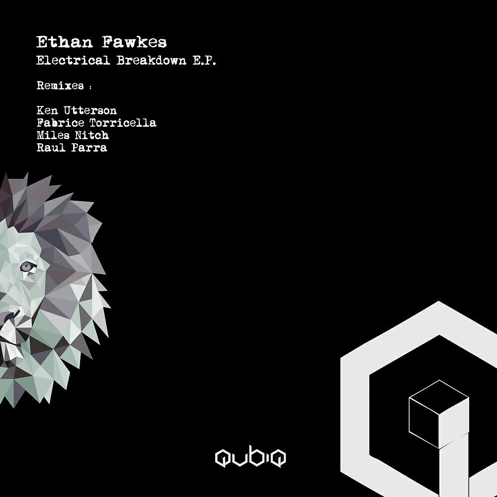 Ethan Fawkes - Electro Mission (Fabrice Torricella Remix)