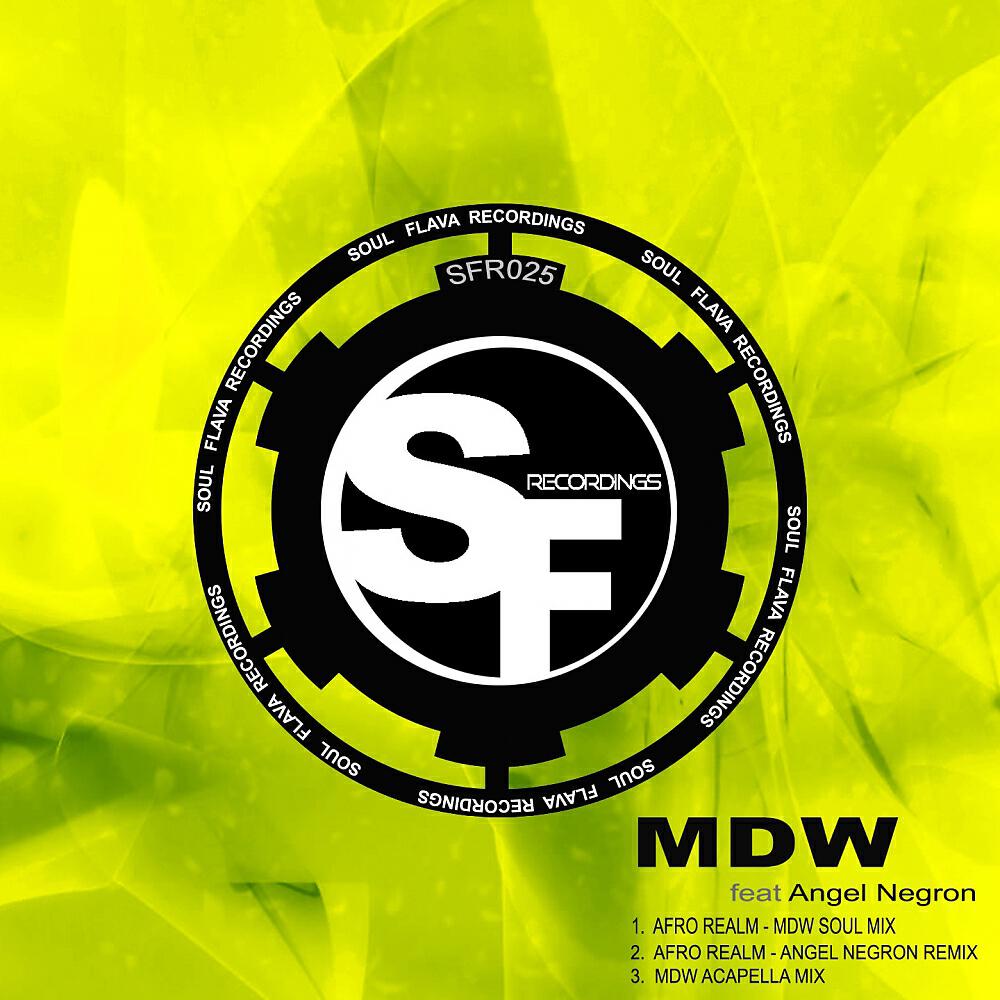 DJ MDW - Afro Realm (MDW Acapella Mix)