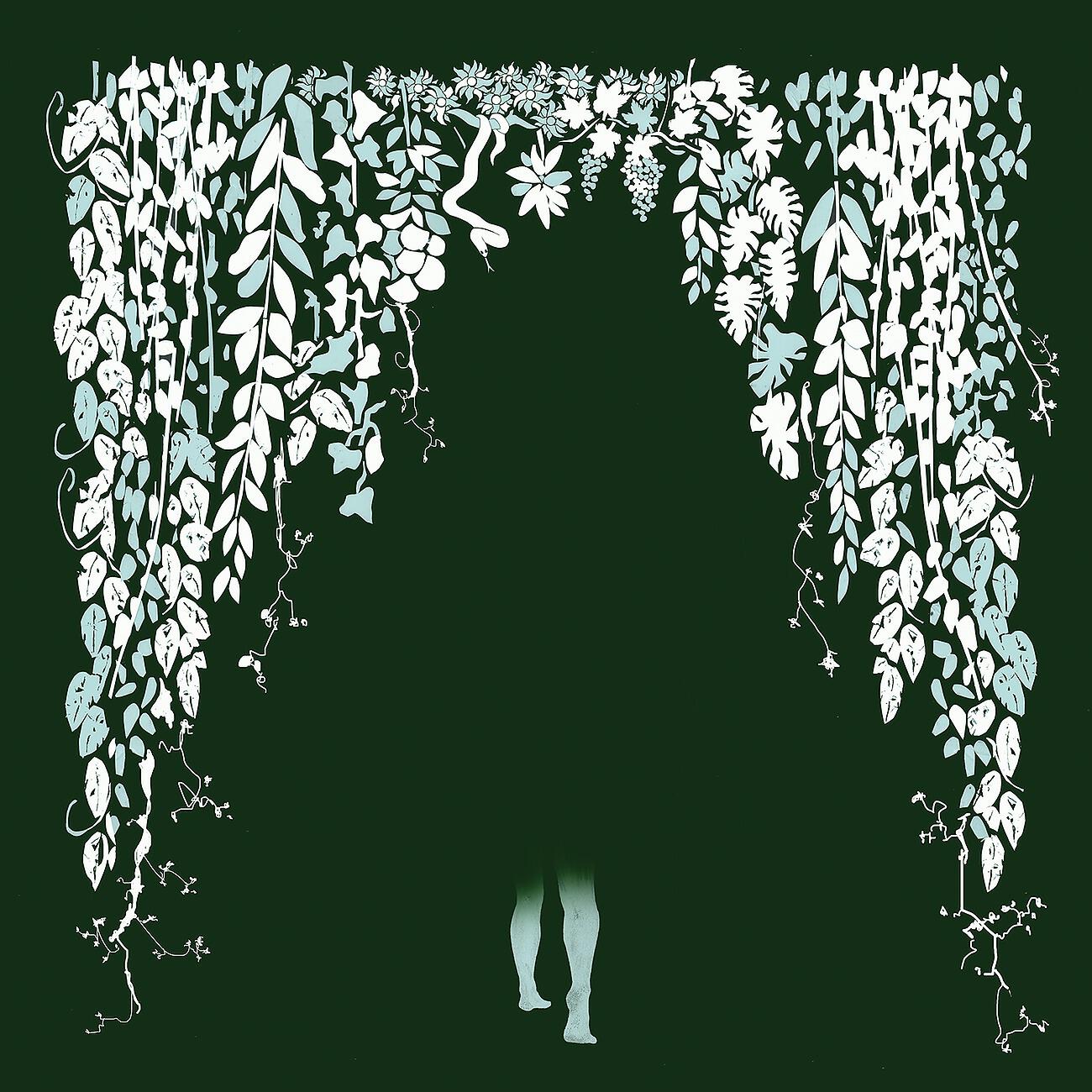 Hey Colossus - Carcass