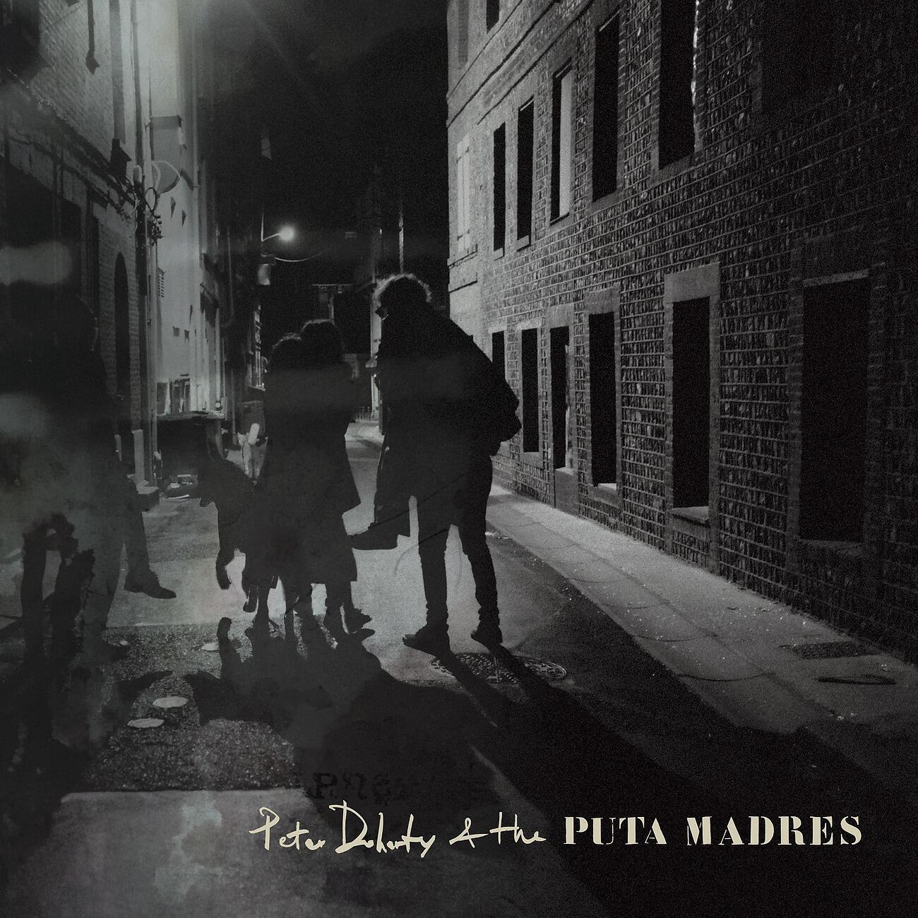 Peter Doherty - Who's Been Having You Over (Single Mix)