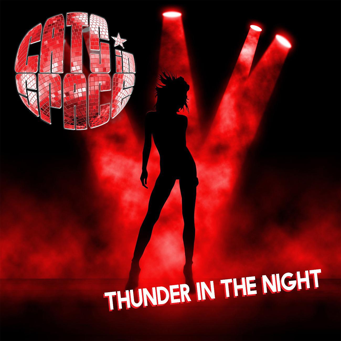 Постер альбома Thunder In The Night