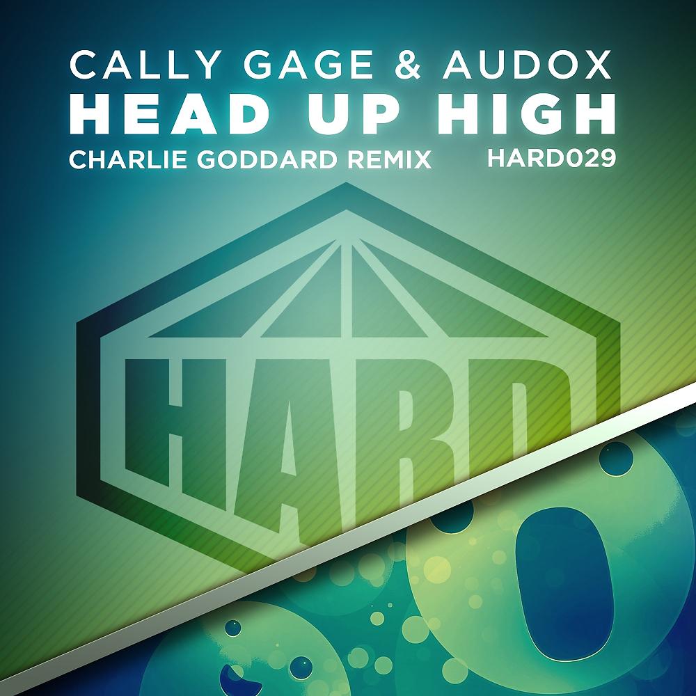 Постер альбома Head Up High (Charlie Goodard Remix)